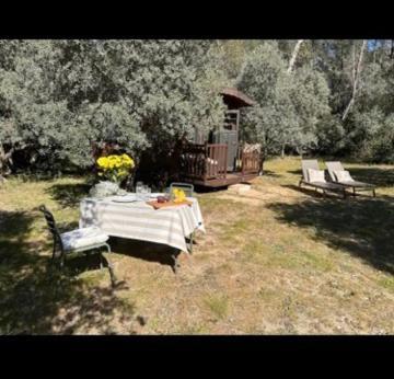 Roulotte / Tiny House Dans Les Alpilles Ξενοδοχείο Saint-Rémy-de-Provence Εξωτερικό φωτογραφία
